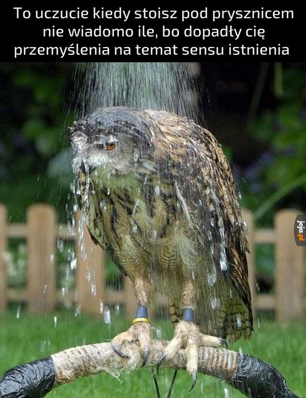 Rachunek za wodę nie sprzyja filozofii