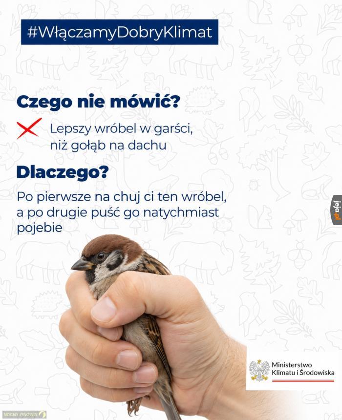 Uwolnić wróbla