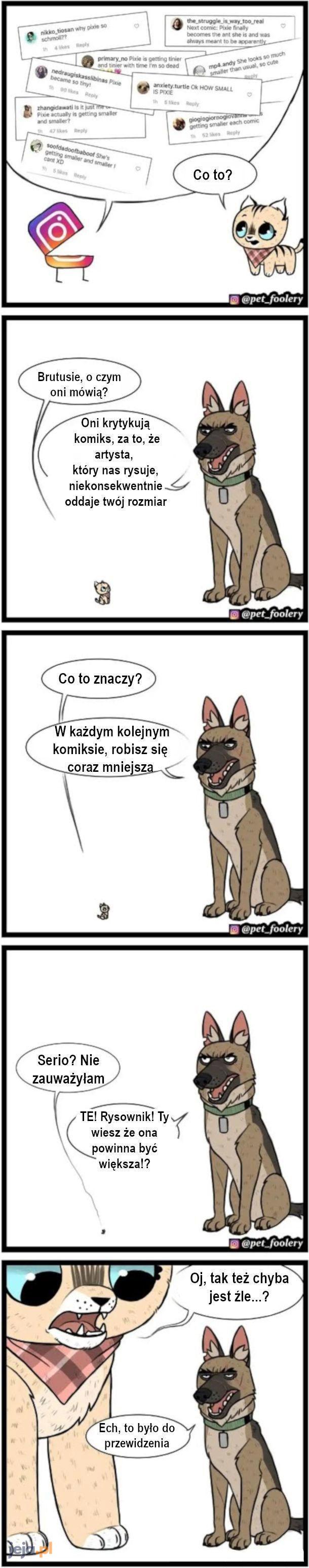 Czemu Pixie jest coraz mniejsza?!