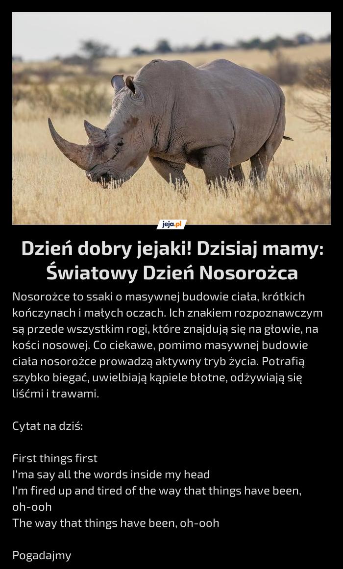 Dzień dobry jejaki! Dzisiaj mamy: Światowy Dzień Nosorożca