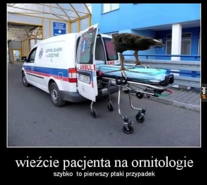 Dzień jak codzień na SORze
