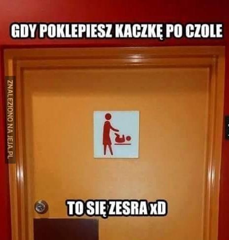 Klepnij kaczkę w czoło