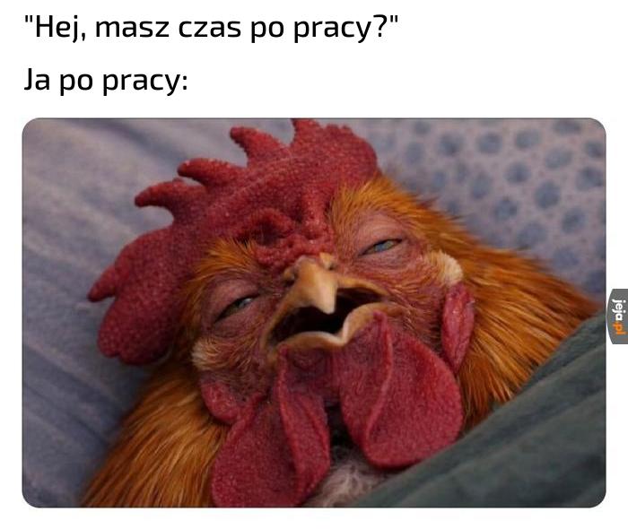 Niestety, zawalony jestem