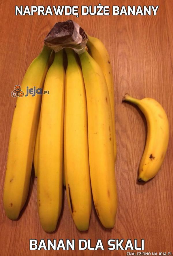 Naprawdę duże banany