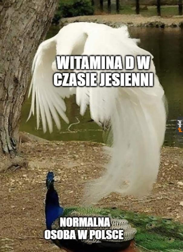 Pamiętajcie Jejanie o poprawnej diecie i suplementacji na ten czas