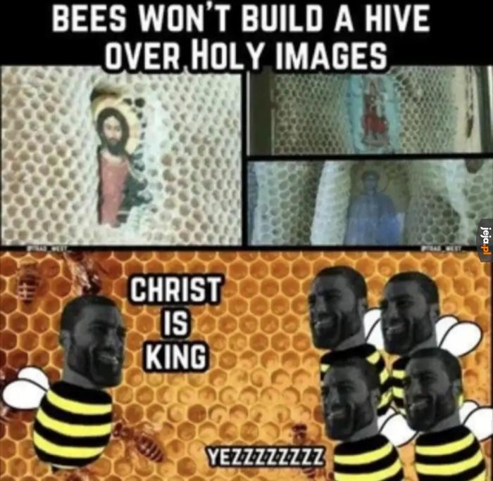 Beezus is coming