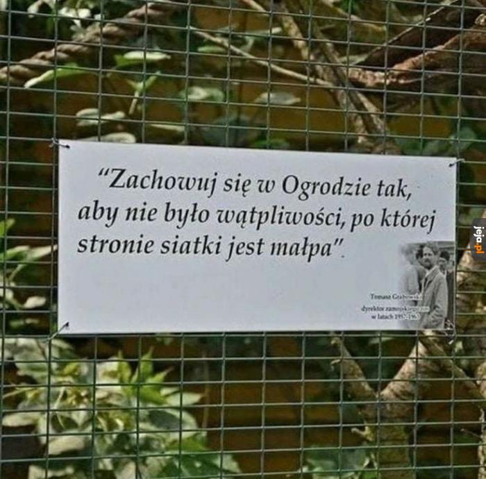 Paradoksalnie poprzeczka wcale nie jest aż tak wysoka