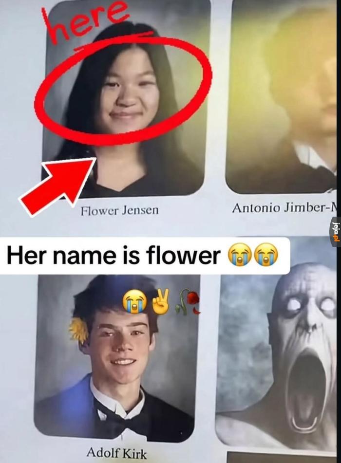 Typiara co sie kwiatek nazywa XDDDDD