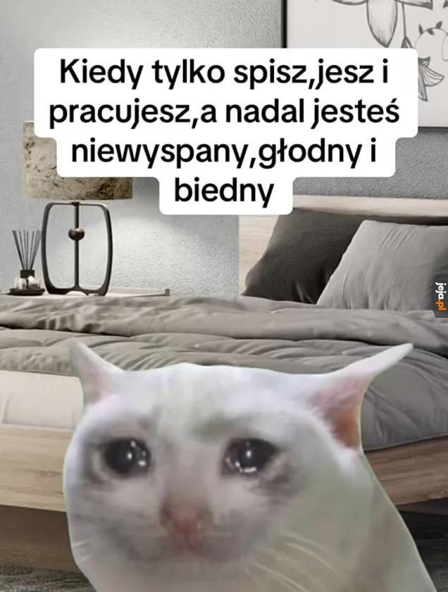 I tak w kółko