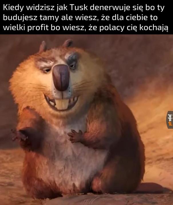 Z czegoś trzeba żyć