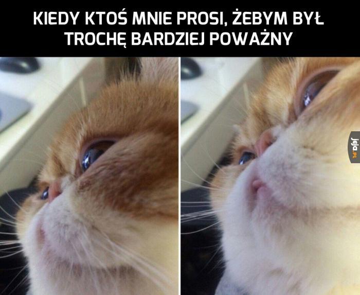 Robię, co mogę