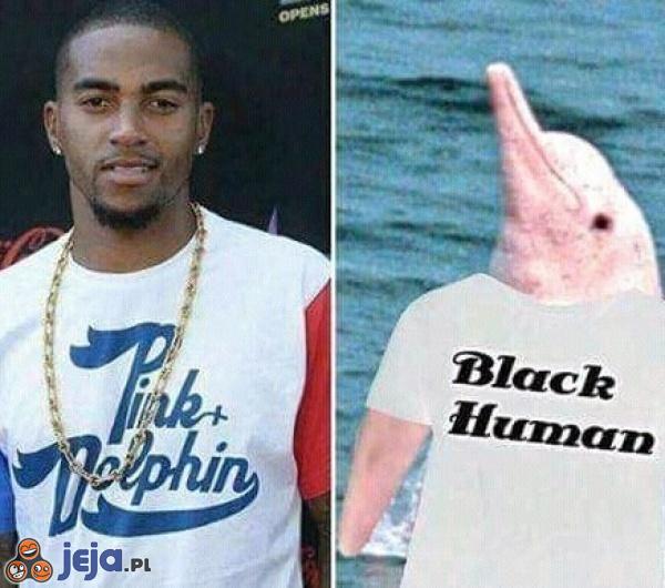 Stop rasizmowi wśród delfinów!