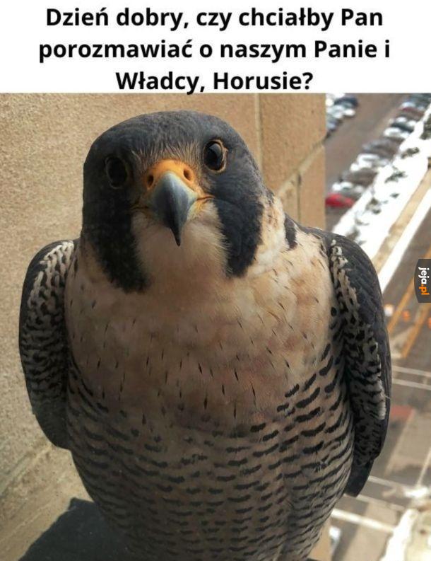 Ależ oczywiście