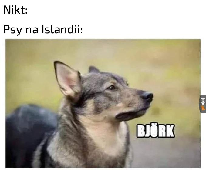 Specyficzny szczek