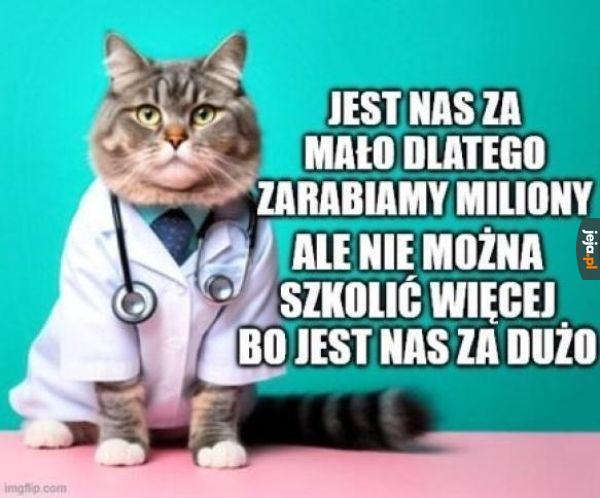 Czego nie rozumiesz