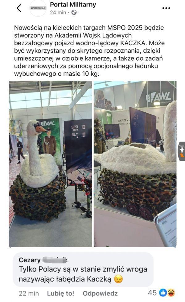 W ogóle nie wygląda podejrzenie