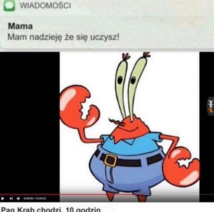 Zaraz