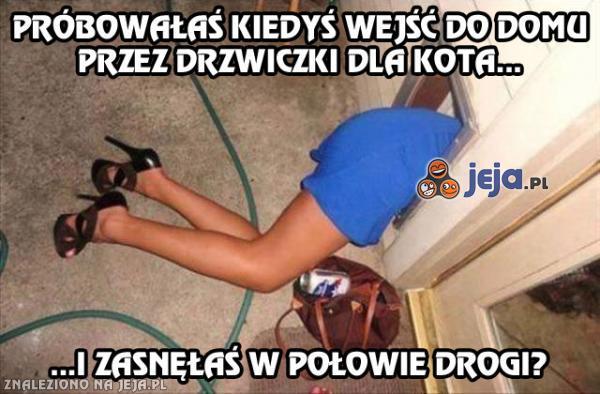 Psy sąsiada mogłyby skorzystać...