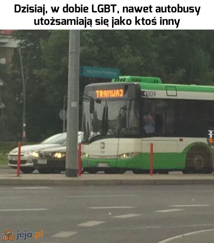 Wolność to wolność