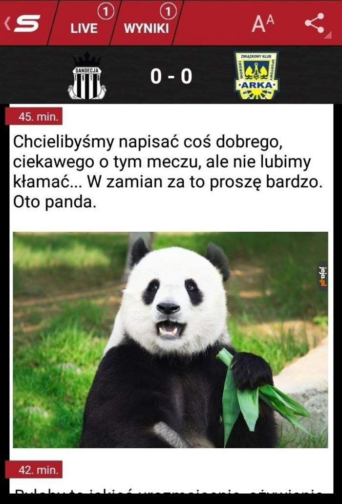 Oto panda