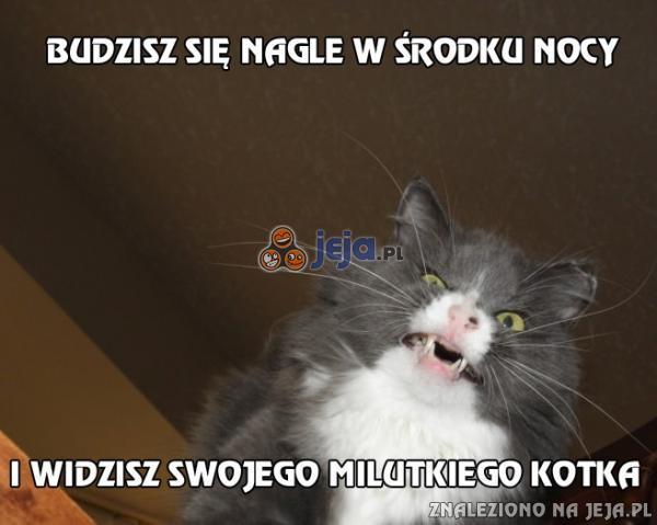 Budzisz się nagle w środku nocy