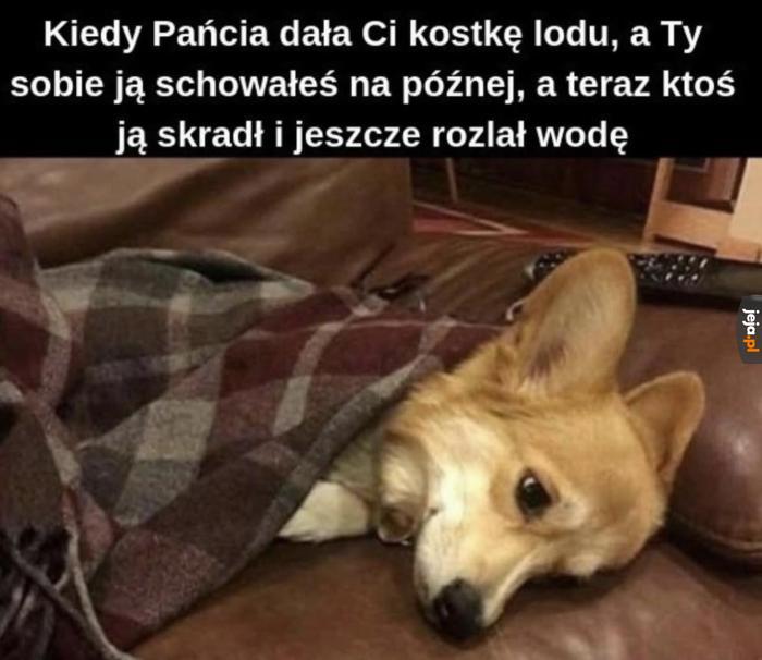 Co za koszmar
