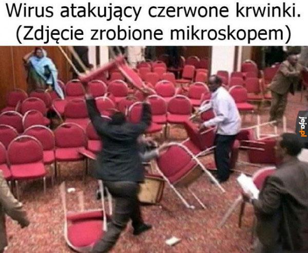 Zdjęcie autentyczne