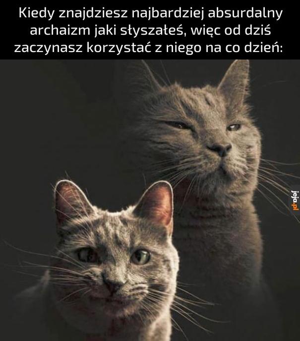 Poniechaj tego haniebnego procederu, białogłowo