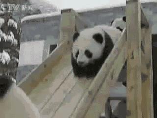 Pandy na zjeżdżalni