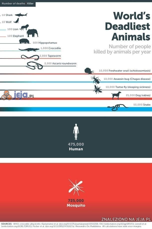 Ilu ludzi rocznie ginie przez zwierzęta