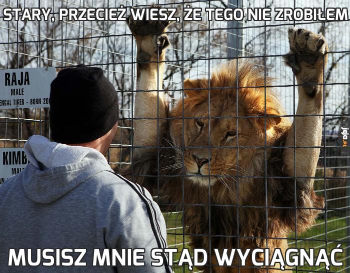 Stary, przecież wiesz, że tego nie zrobiłem