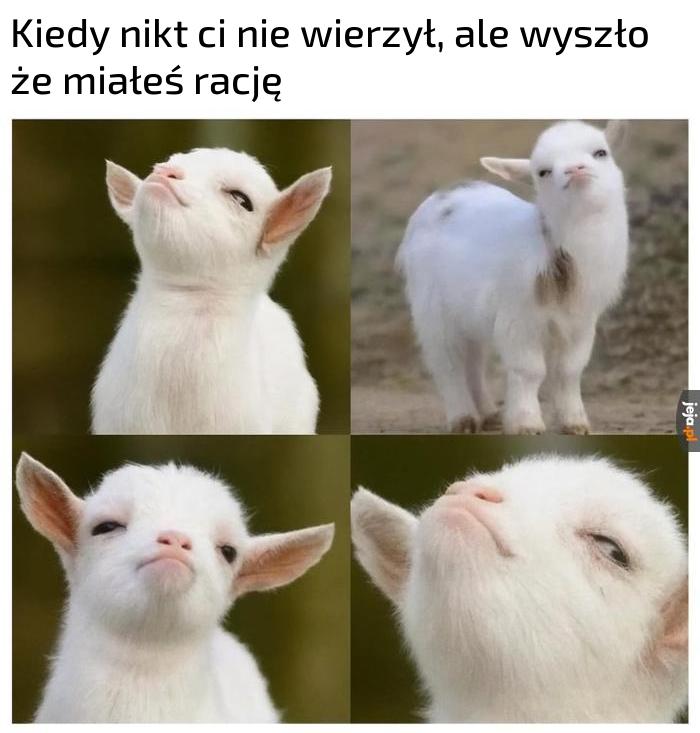 I co? I co?!