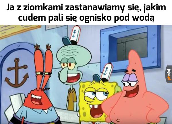 Logika SpongeBoba