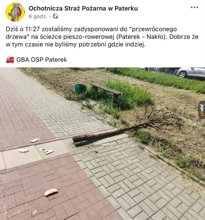 Masowe zniszczenia