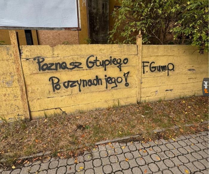 Mądrości miejskie