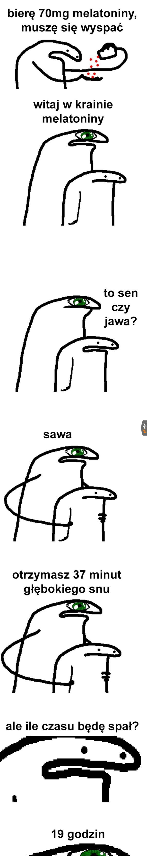 Długi sen