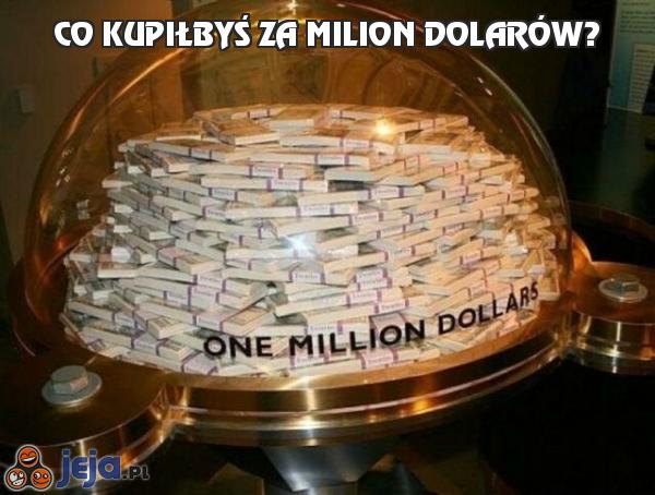 Co kupiłbyś za milion dolarów?