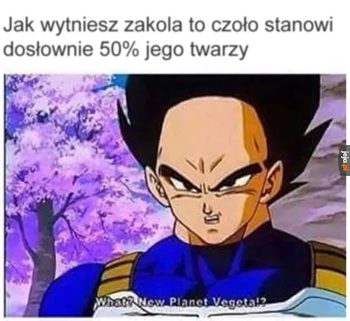 Czołowy przedstawiciel rodu Saiyan