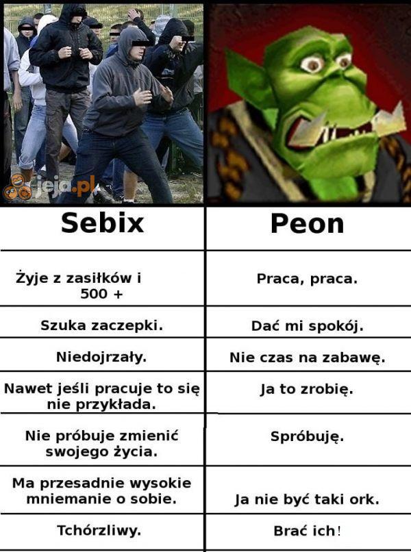 Wybierz mądrze