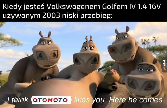 Niezła sztuka