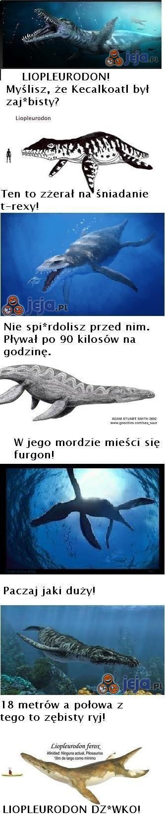 Liopleurodon - prawdziwy sk*rwiel!