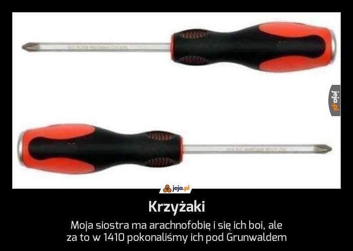 Majestatyczne stworzenia