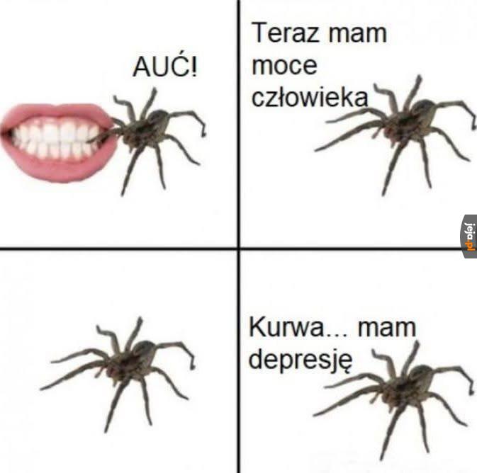 Nie było warto
