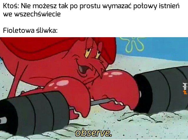 Śliwki bywają nieprzewidywalne