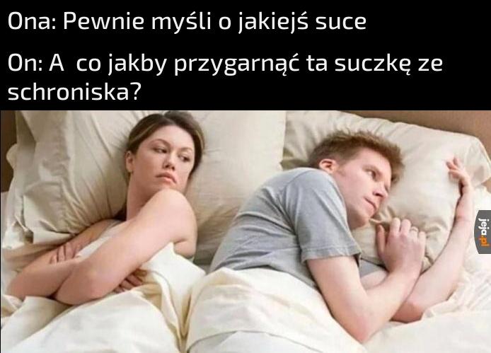 W domu przydałby się piesek
