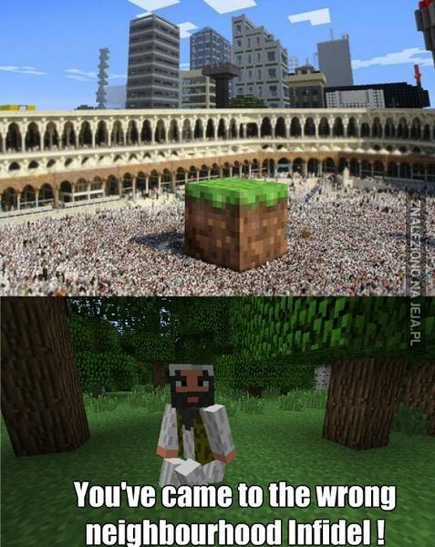 Minecraft wszędzie