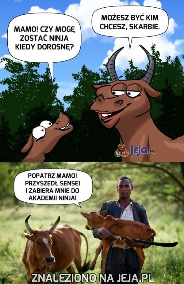 Synku, to nie Sensei...