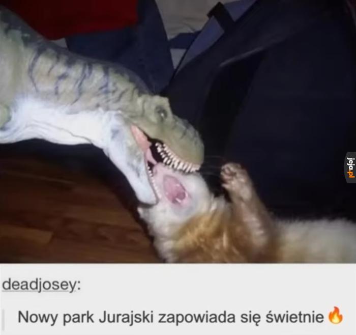 Raaaaaaarrrrr🦕