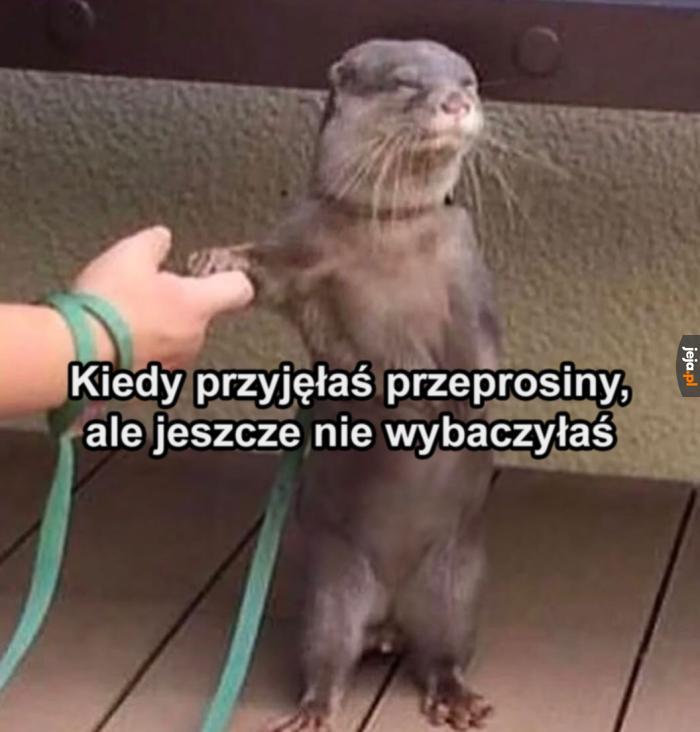 Stan przejściowy