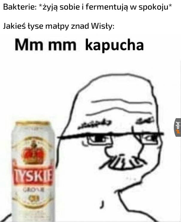 Kiszonka